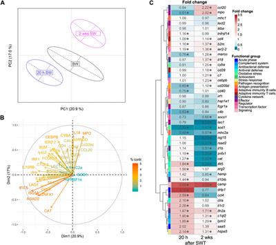 Salinity change evokes stress and immune responses in Atlantic salmon with microalgae showing limited potential for dietary mitigation